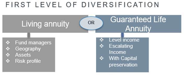 First Level of Diversification